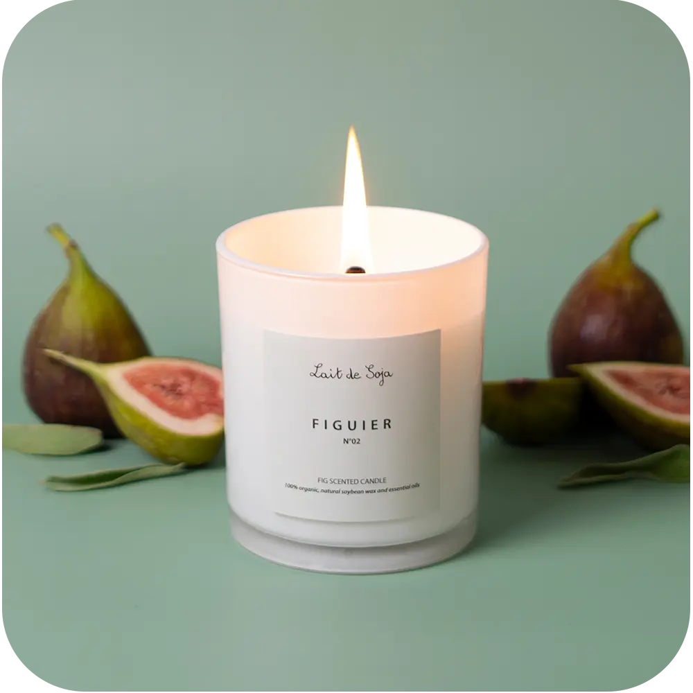 Figuier | Handmade Soy wax Candles Lait de Soja